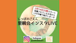 泉南動物病院画像
