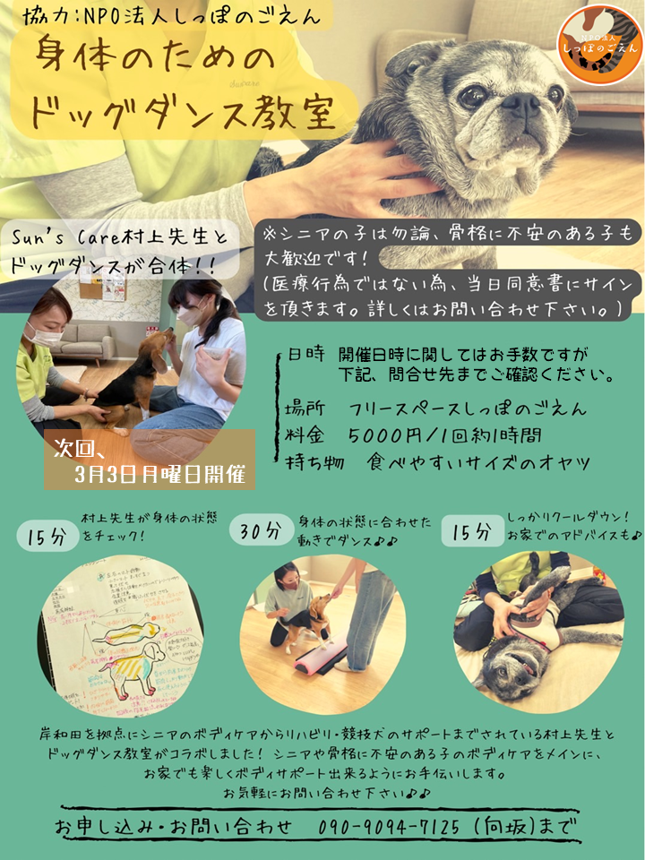 泉南動物病院画像