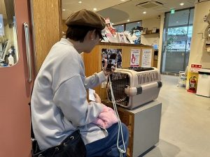 泉南動物病院画像
