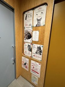 泉南動物病院画像