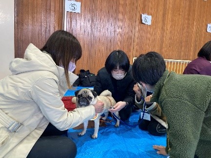 泉南動物病院画像