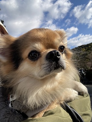 泉南動物病院画像