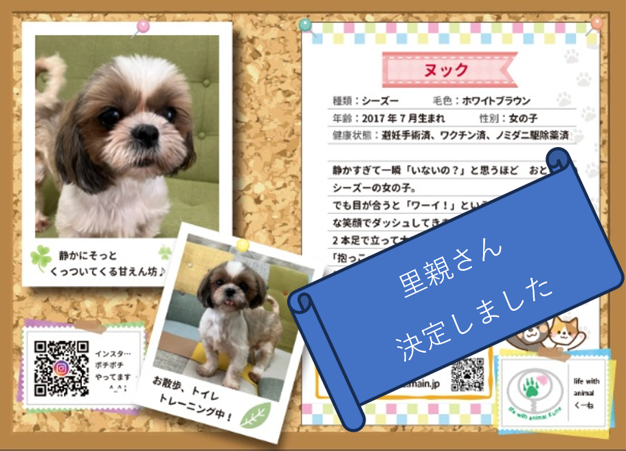 泉南動物病院画像
