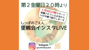 泉南動物病院画像
