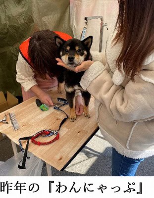 泉南動物病院画像
