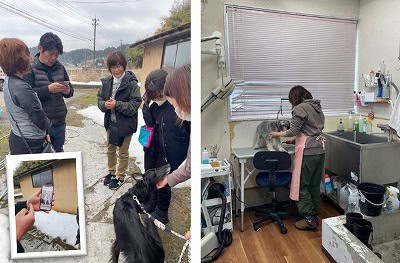 泉南動物病院画像