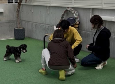 泉南動物病院画像