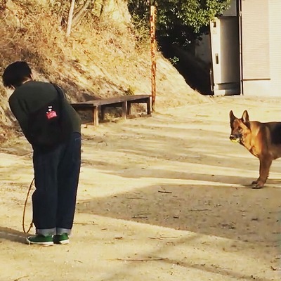 泉南動物病院画像