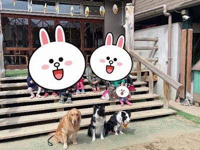 泉南動物病院画像