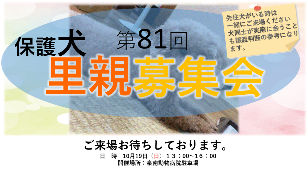 第81回里親募集会(犬)