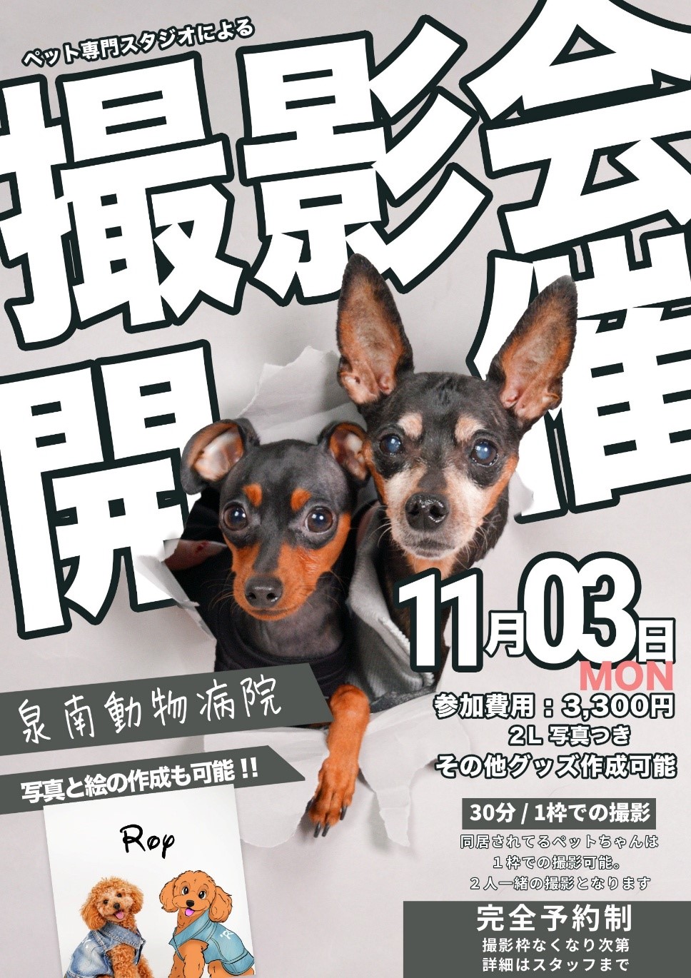 撮影