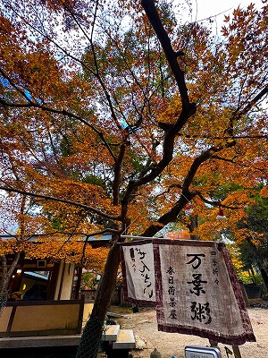 s-S__265887820