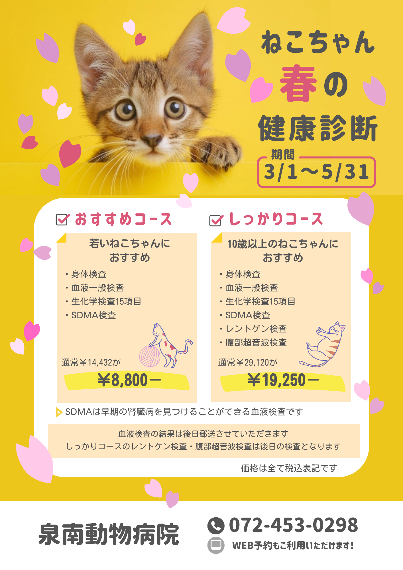 春の健康診断猫2026訂正