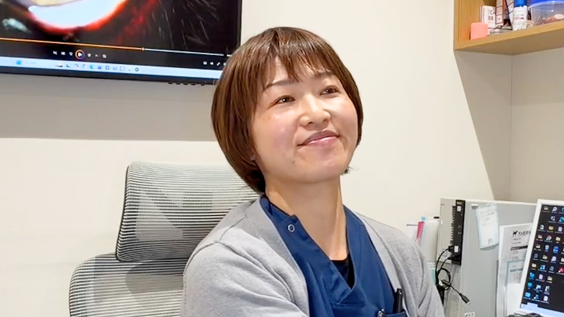 「うちの子、目が白い?」白内障と間違えやすい核硬化症とは