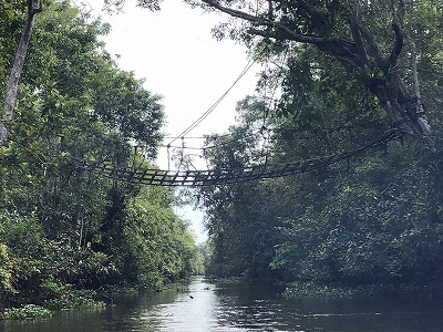 s-S__34553894_0