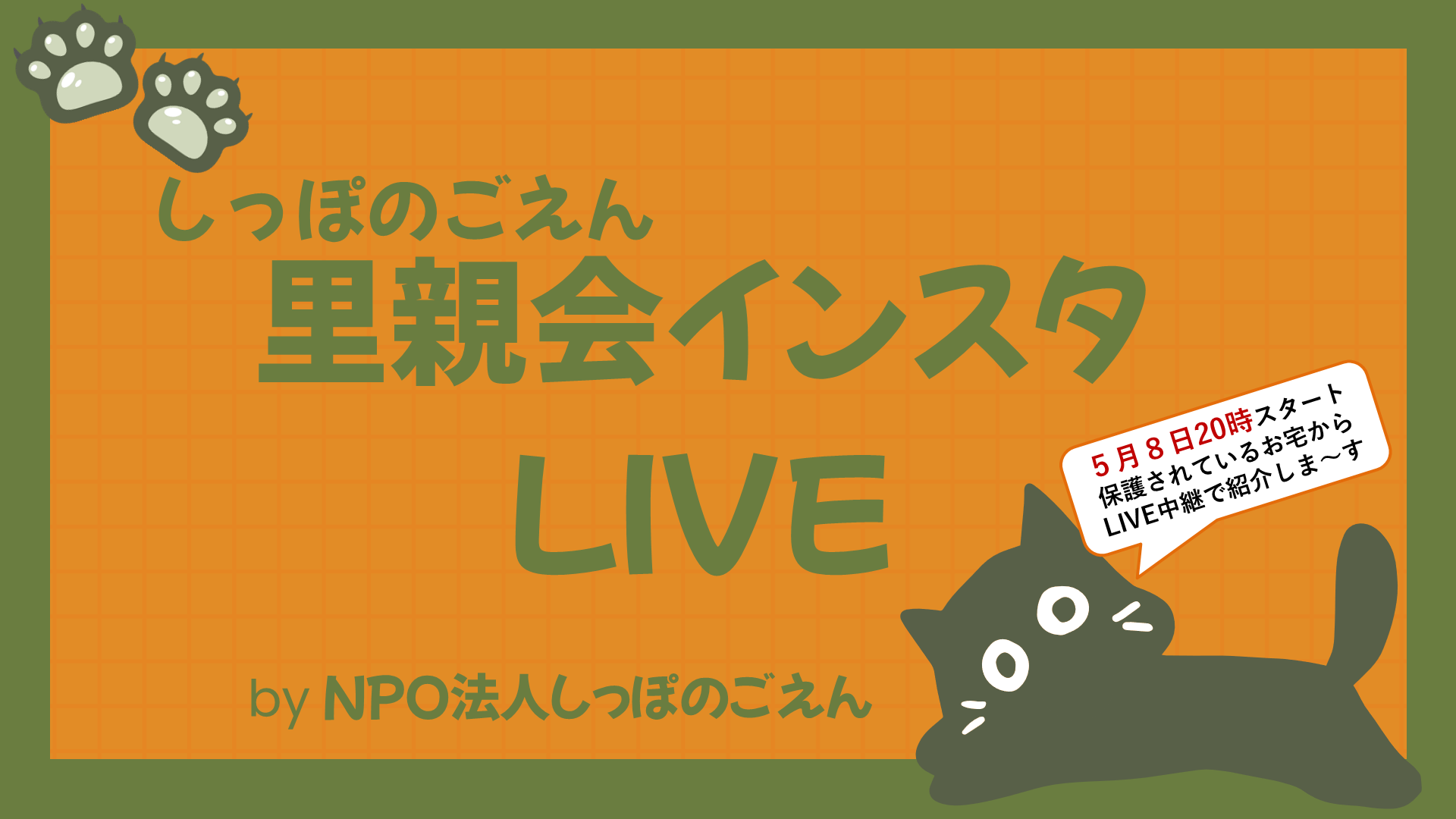5月里親会インスタLIVE