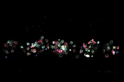 s-S__36388878_0