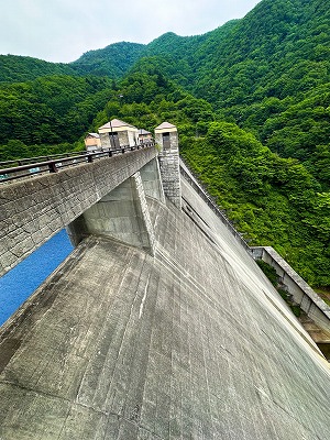s-S__36741137_0